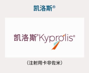 尊龙凯时